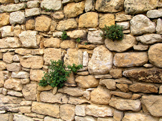 vieux mur de pierres