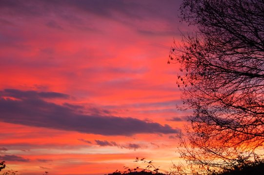 provence 18h,decembre....