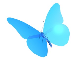 papillon the blue butterfly © Ericus
