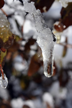 frozen