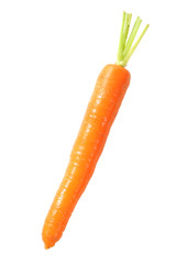 vegetables, carrot