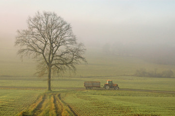 tracteur et brouillard - 2231181