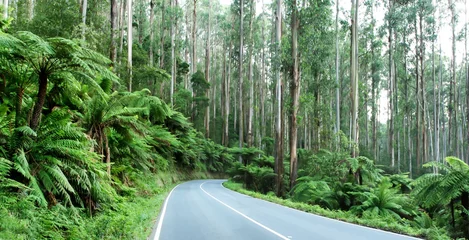 Selbstklebende Fototapete Australien australian mountain road