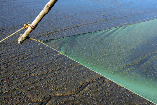 p&ecirc;cherie
