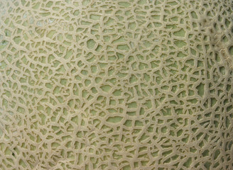 cantaloupe skin