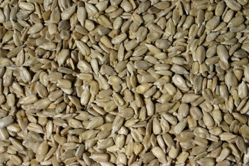 sunflower seeds