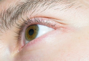 Fototapeta premium man`s green eye