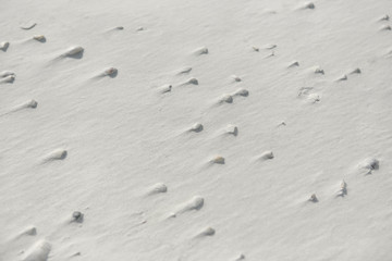 pebbles & sand background