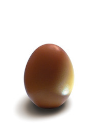 oeuf de poule