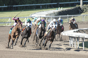 racehorses around the turn