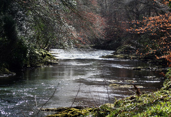 river dart