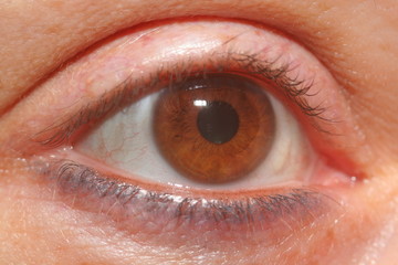 eye