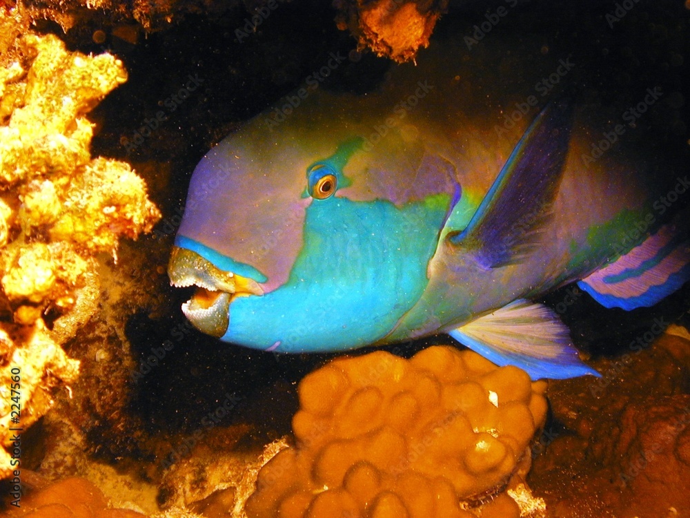 1000_F_2247560_BrayLrEtl9sGuIJKqEEGmeAg3nAg4w.jpg