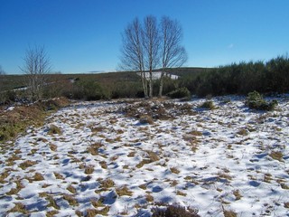 paisaje nevado