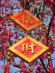 happy chinese new year!