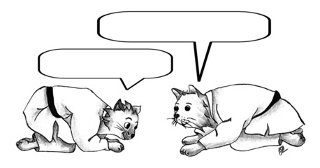 salut sur le tatami - chats judoka