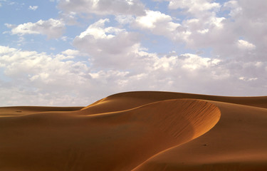 Obraz na płótnie Canvas liwa desert 24
