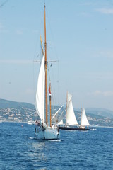 Fototapeta premium virata in mare