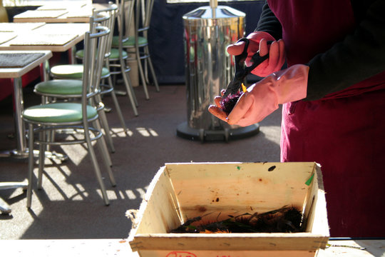 ouverture des oursins