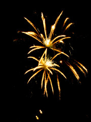 firework7