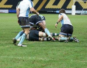 rugby