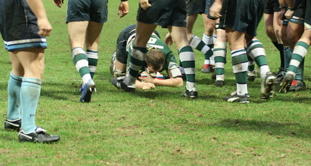 Fototapeta premium rugby