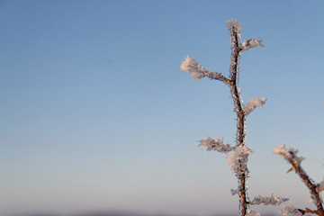 givre