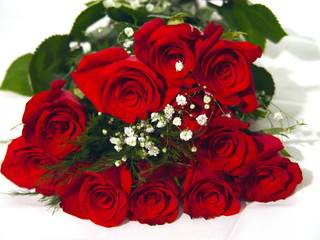 closeup of a dozen roses