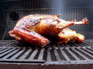 grilled - marinated turkey on the grill 3
