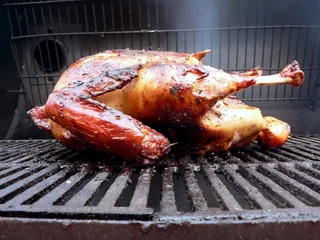 Gardinen grilled - marinated turkey on the grill 3 © tdoes
