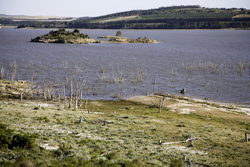 garden route en afrique du sud