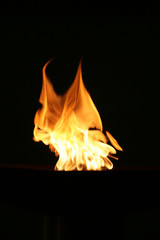 Fototapeta premium flame