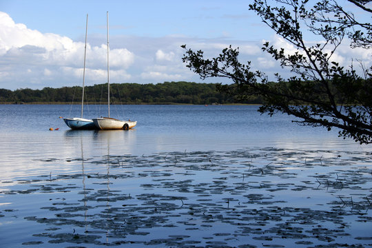 lac