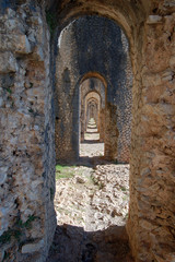 Fototapeta na wymiar ścieżka arch