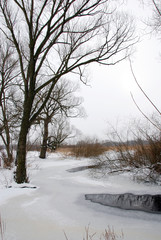 winter by the river