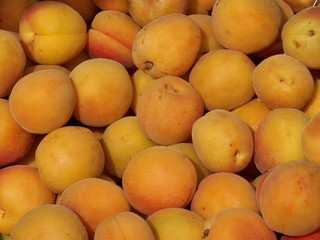 abricots