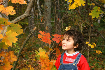 autumn walk.