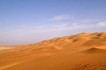 Fototapeta na wymiar liwa desert 15