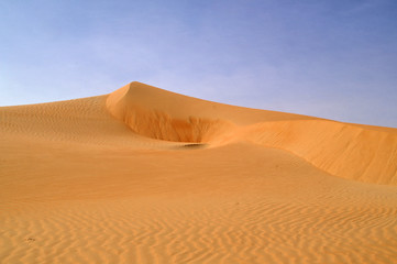 liwa desert 10