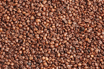 kaffee bohnen