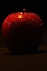 red apple sin fruit