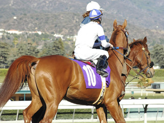 racehorse #10