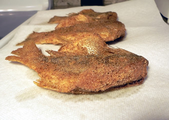 fried fish on paper towels 2