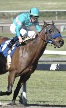 race horse & jocket in green