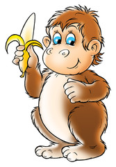 monkey
