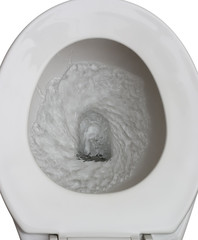 flushed toilet