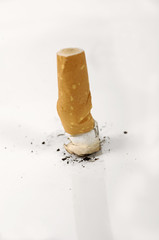 cigarette ecrasée