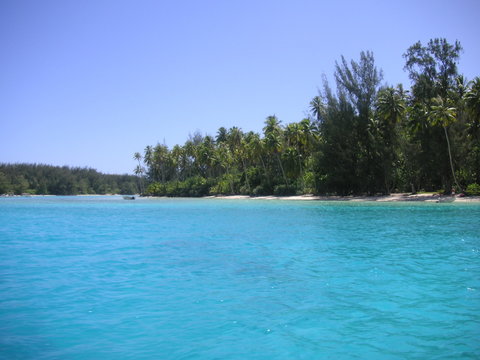 lagon moorea