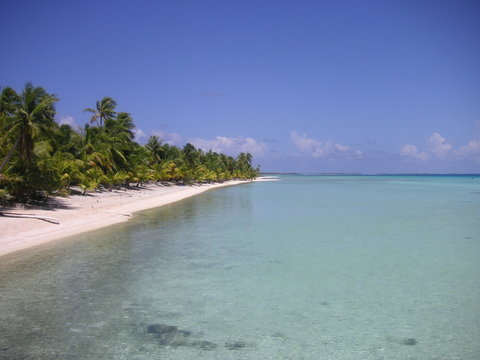 plage rose tuamotu