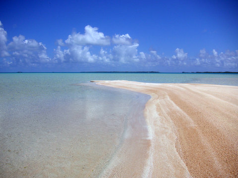 sable rose et longon turquoise